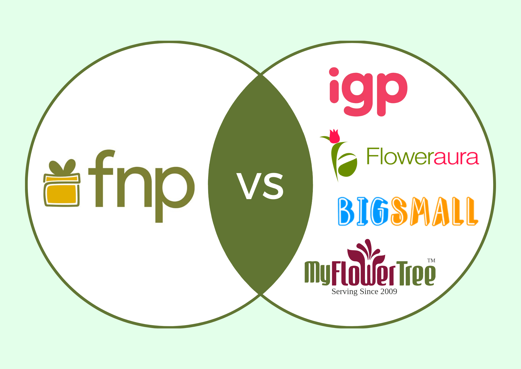 Comparing With The Competitors-FNP